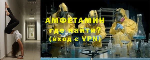 прущие грибы Абинск