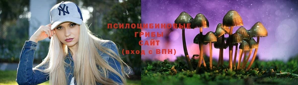 гидра Алексин