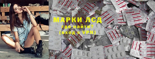 прущие грибы Абинск