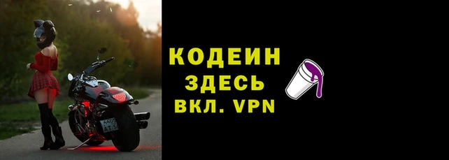 прущие грибы Абинск