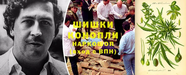 прущие грибы Абинск