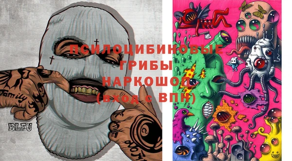 ГАЛЛЮЦИНОГЕННЫЕ ГРИБЫ Алексеевка